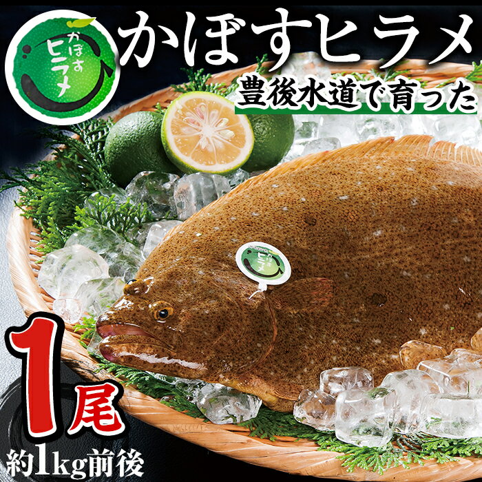 【ふるさと納税】 かぼすヒラメ (1尾・約1kg前後) ひらめ 平目 直送 漁師 養殖 魚 鮮魚 白身魚 獲れたて 刺身 煮つけ…