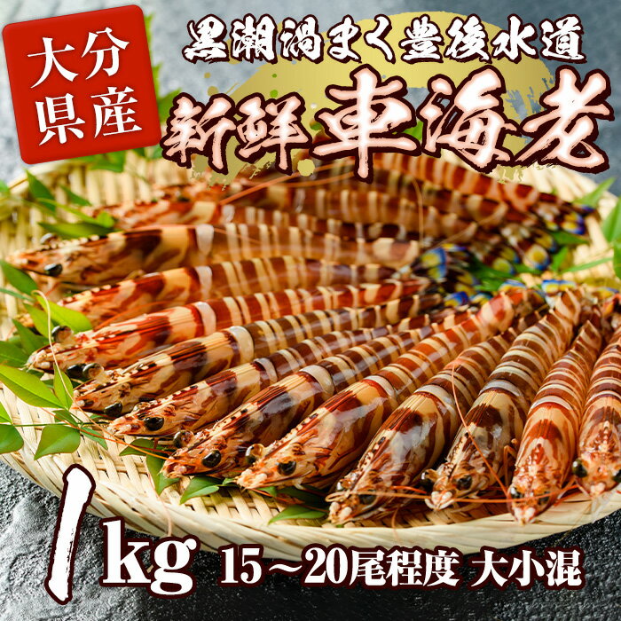 【ふるさと納税】大分県産 新鮮車海老 (約1kg 15-20尾程度)直送 産直 漁師 魚 鮮魚 魚介 天然 車エビ 車海老 くるまえび 獲れたて 刺身 煮つけ フライ 塩焼き 冷蔵 大分県 佐伯市【DA02】【(有)丸直水産】