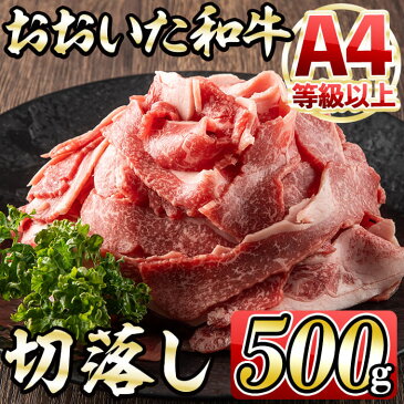 【ふるさと納税】【A4ランク以上】おおいた和牛切り落とし500g