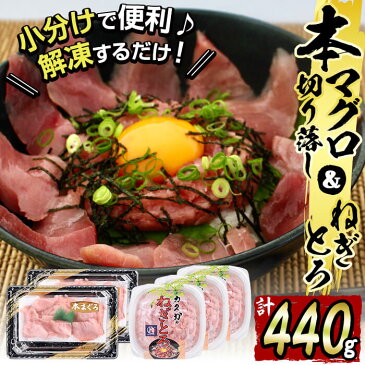 【ふるさと納税】【大人気!】お手軽マグロづくし(本マグロ切り落とし・ねぎとろセット)