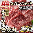 【ふるさと納税】おおいた和牛 赤身カルビ焼肉 250g 国産 牛肉 肉 霜降り 低温熟成 A4 和牛 ブランド牛 カルビ 焼肉 BBQ 冷凍 大分県 佐伯市【DH200】【 株 ネクサ】