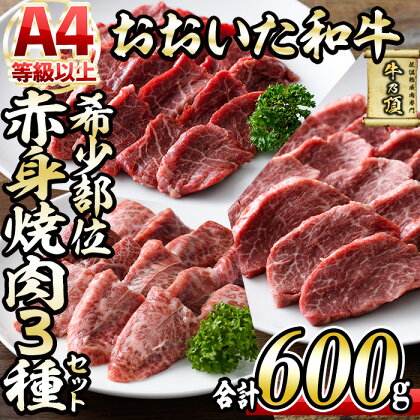 おおいた和牛 希少部位 赤身 焼肉 セット (合計600g・ヒレ200g+ミスジ200g+ランプ200g) 国産 牛肉 肉 霜降り 低温熟成 A4 和牛 ブランド牛 BBQ 冷凍 大分県 佐伯市【DH235】【(株)ネクサ】