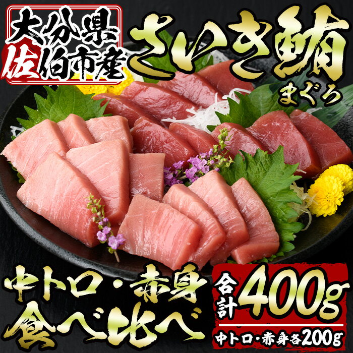 佐伯市産本マグロ 中トロ・赤身 食べ比べ(合計約400g・中トロ200g・赤身200g) 中とろ あかみ セット マグロ 鮪 刺身 さしみ 魚 海鮮 冷凍 大分県 佐伯市[DH258][(株)ネクサ]