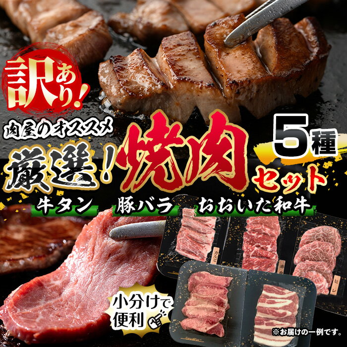 【ふるさと納税】＜訳あり＞厳選焼肉お試しセット (合計410g・5種) おおいた和牛 アイオワプレミアム 牛タン 米の恵み 豚バラ 焼肉 牛肉 肉 豚肉 赤身 カルビ 希少部位 低温熟成 和牛 ブランド牛 BBQ 冷凍 大分県 佐伯市【DH263】【(株)ネクサ】