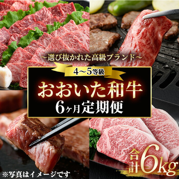 21位! 口コミ数「0件」評価「0」＜定期便・全6回 (隔月)＞おおいた和牛 定期便 (総量6kg) しゃぶしゃぶ ステーキ 焼肉 すき焼き モモ サーロイン ソース付き ばら･･･ 