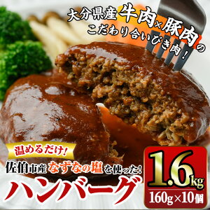 【ふるさと納税】佐伯市の「なずなの塩」使用 !大分の恵みハンバーグ (計約1.6kg・160g×10個) ハンバーグ 冷凍ハンバーグ 合い挽き 小分け 個包装 簡単 湯せん 温めるだけ 冷凍 レトルト おかず 惣菜 【DT05】【全国農業協同組合連合会大分県本部】