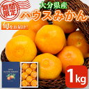 【ふるさと納税】＜先行予約受付中 2024年6月中旬より順次発送予定＞大分県産 ハウスみかん 1kg ミカン 蜜柑 柑橘 冷蔵 温室 くだもの 果物 フルーツ 旬 高糖度 大分県 佐伯市【DT06】【全国農…