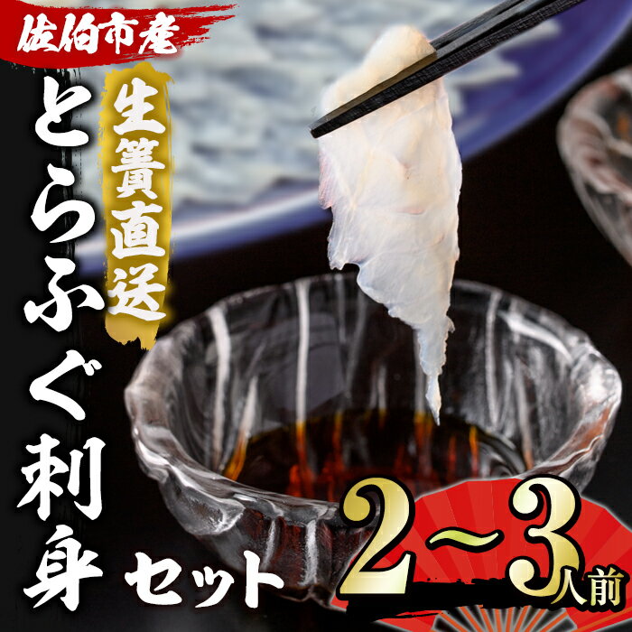 【ふるさと納税】＜着日指定必須＞生簀直送 とらふぐ 刺身 セット (2-3人前) 魚 鮮魚 ふぐ 河豚 刺し...