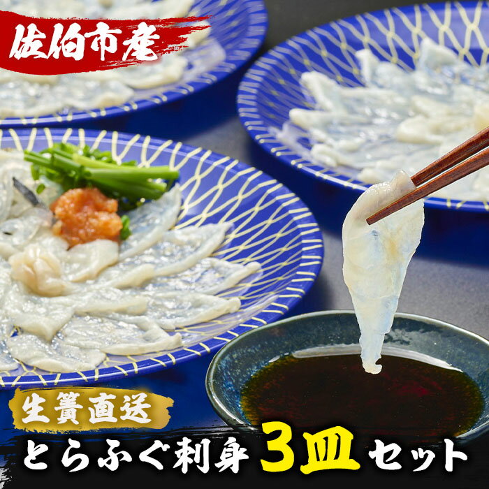 【ふるさと納税】生簀直送 とらふぐ ぽん酢付き 刺し身 セット (刺し身×3皿・ヒレ×10g・皮スライス×60g) 魚 ふぐ 河豚 刺身 さしみ 小..