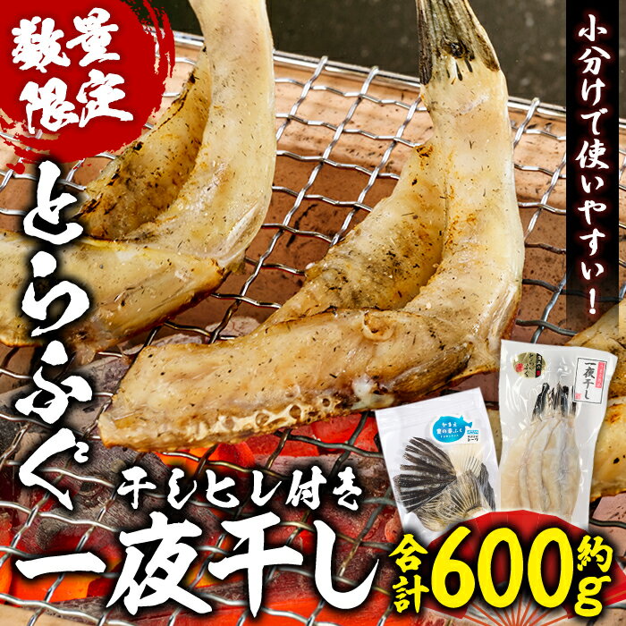 とらふぐ 一夜干し セット(合計約600g・一夜干し200g×3P 干しヒレ10g×1P) 干物 ふぐ 河豚 一夜干し おつまみ 小分け ヒレ ヒレ酒 佐伯 国産[EA25][(株)トーワ]