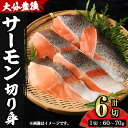 【ふるさと納税】大分豊後サーモン 切り身(計6切) 魚 鮮魚 切身 無塩 冷凍 佐伯 養殖 国産 個包装 大分県 佐伯市【EA28】【(株)トーワ】