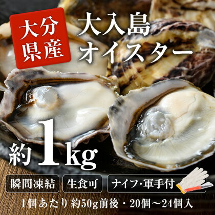 大入島 バージン オイスター 牡蠣 約1kg (1個約50g前後・20個〜24個入) 生食可 冷凍 | 真牡蠣 かき 貝 かい 酒蒸し 焼き牡蠣 パスタ 国産 一口サイズ ご当地 お取り寄せ グルメ 大分県 佐伯市【ED06】【(合)新栄丸】