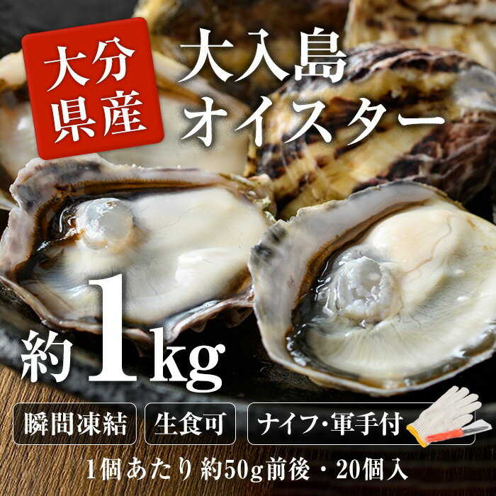 15位! 口コミ数「1件」評価「5」大入島 バージン オイスター 牡蠣 約1kg (1個約50g前後・20個入) 生食可 冷凍 真牡蠣 かき 貝 かい 酒蒸し 焼き牡蠣 パスタ･･･ 