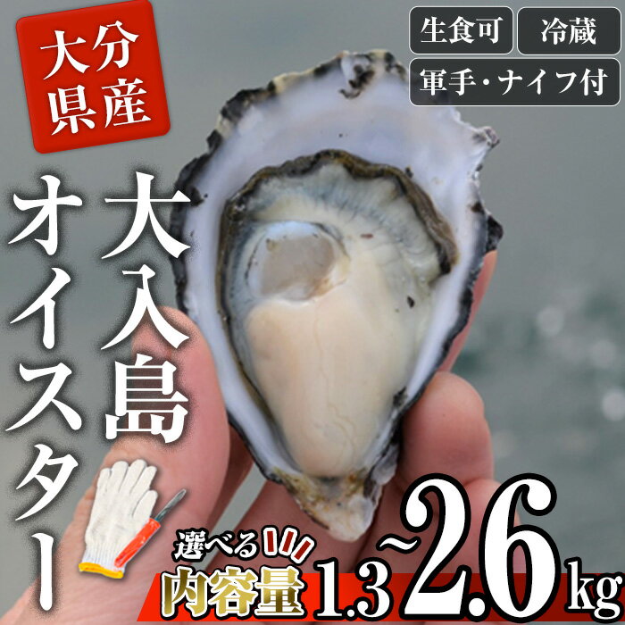 【ふるさと納税】<内容量が選べる> 真ガキ 大入島オイスター (約1.3kg・約2.6kg) 牡蠣 カキ 貝 海鮮 魚介類 冷蔵 生食可 シングルシード 養殖 殻付き 【ED08・ED09】【(合)新栄丸】