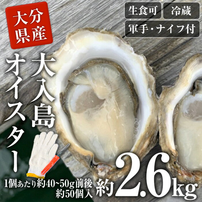 ڤդ뤵Ǽǡۿ 祪 (2.6kg)      ¢  󥰥륷 ܿ ʬ ...