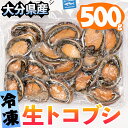 【ふるさと納税】冷凍 生トコブシ (500g) 貝 魚介類 海鮮 小分け 冷凍 真空 おつまみ 惣菜 大分県 佐伯市 道の駅かま…