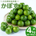 【ふるさと納税】 かぼす 4kg ( 種なし ) フルーツ 果物 柑橘 種無し 道の駅やよい 大分県 佐伯市【EN13】【道の駅やよい】