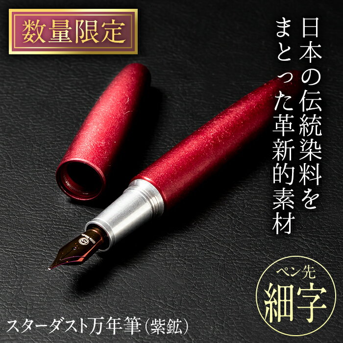 19位! 口コミ数「0件」評価「0」STARDUST 万年筆 (紫鉱 (しこう)：細字・F) 文房具 文具 ペン 筆記用具 贈り物 大分県 佐伯市【EQ041】【Oita Ma･･･ 