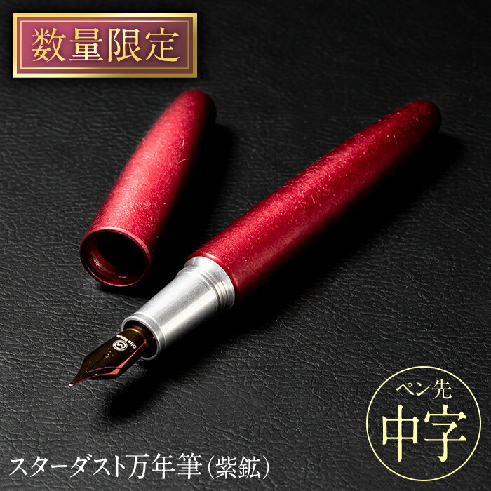 1位! 口コミ数「0件」評価「0」STARDUST 万年筆 (紫鉱 (しこう)：中字・M) 文房具 文具 ペン 筆記用具 贈り物 大分県 佐伯市【EQ042】【Oita Ma･･･ 