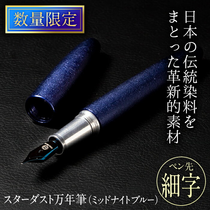 2位! 口コミ数「0件」評価「0」STARDUST 万年筆 (ミッドナイトブルー：細字・F) 文房具 文具 ペン 筆記用具 贈り物 大分県 佐伯市【EQ051】【Oita M･･･ 