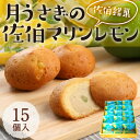 27位! 口コミ数「0件」評価「0」月うさぎの佐伯マリンレモン (計15個) レモン レモンケーキ スイーツ スウィーツ 菓子 焼き菓子 洋菓子 おやつ セット 個装 大分県 ･･･ 