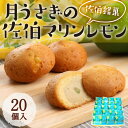 月うさぎの佐伯マリンレモン (計20個) レモン レモンケーキ スイーツ スウィーツ 菓子 焼き菓子 洋菓子 おやつ セット 個装 大分県 佐伯市