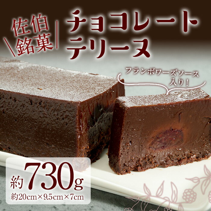 【ふるさと納税】チョコレートテリーヌ (約730g) チョコ