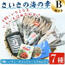 さいきの海の幸Bセット (7種) 鯵 鰯 イワシ 鯖 サバ ちりめん ブリチャン 魚 干物 海産物 韓国料理 加工食品 セット 詰め合わせ 大分県 佐伯市