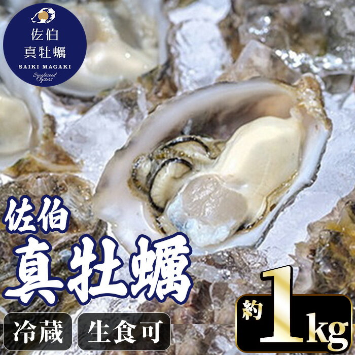 佐伯真牡蠣 鶴見産 (約1kg) 数量限定 牡蠣 カキ 新鮮 小分け 生牡蠣 生カキ カキフライ 鍋 大分県 佐伯市[生食可][EW061][(株)Up]