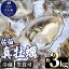 【ふるさと納税】佐伯真牡蠣 鶴見産 (約3kg) 牡蠣 カキ 新鮮 小分け 生牡蠣 生カキ カキフライ 鍋 大分..