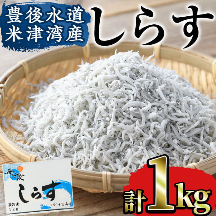 15位! 口コミ数「0件」評価「0」豊後水道 米水津産 しらす (計1kg・500g×2P) 魚 小魚 魚介類 シラス おつまみ カルシウム 大分県 佐伯市 【FA01】【(有･･･ 