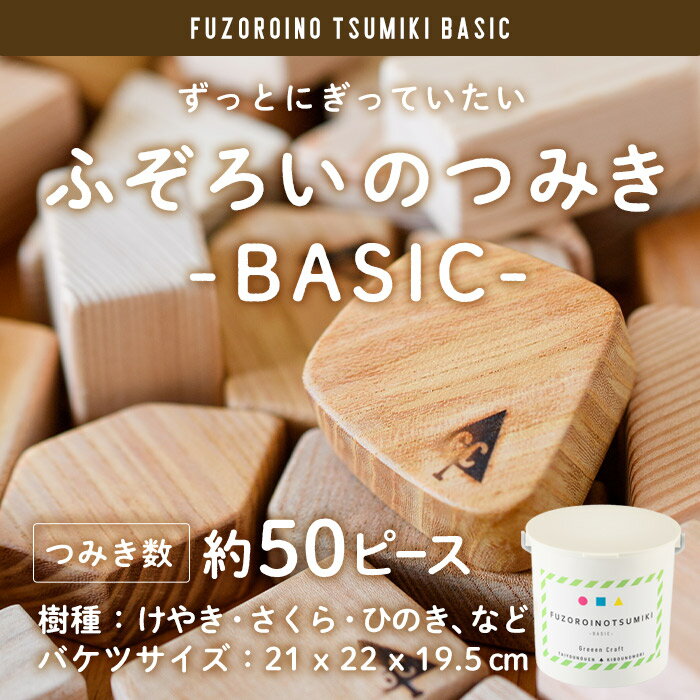 ふぞろいのつみき BASIC (約50ピース) おもちゃ 積み木 玩具 知育玩具 木製 けやき ひのき さくら 大分県 佐伯市 [FD02][ (福)希望の森 太陽農園]