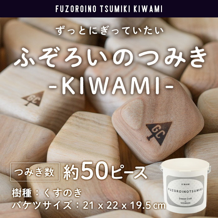 ふぞろいのつみき KIWAMI (約50ピース) おもちゃ 積み木 玩具 知育玩具 木製 くすのき 大分県 佐伯市 [FD03][ (福)希望の森 太陽農園]