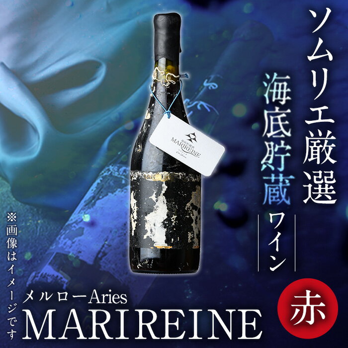 海底貯蔵ワイン 赤 MARIREINE メルローAries2023 (720ml・1本) ワイン 赤ワイン 酒 パーティー 海底酒 熟成 大分県 佐伯市[FP030][フルタ酒店]
