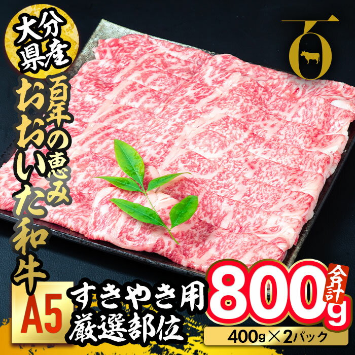 記事ID36955のサムネイル画像
