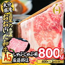 【ふるさと納税】百年の恵み おおいた和牛 A5 しゃぶしゃぶ用 厳選部位 (800g) 国産 牛肉 肉 霜降り ロース 肩ロース もも 肩 和牛 ブランド牛 しゃぶしゃぶ 冷凍 大分県 佐伯市 【FS05】【 (株)トキハインダストリー】