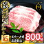 【ふるさと納税】百年の恵み おおいた和牛 A5 ステーキ用 厳選部位 (計800g・200g×4枚) 国産 牛肉 肉 霜降り ロース 肩ロース サーロイン 和牛 ブランド牛 ステーキ 冷凍 大分県 佐伯市 【FS08】【 (株)トキハインダストリー】