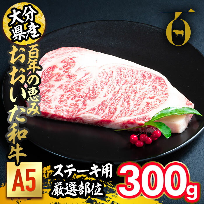 百年の恵み おおいた和牛 A5 ステーキ用 厚切り 厳選部位 (300g) 国産 牛肉 肉 霜降り ロース 肩ロース サーロイン 和牛 ブランド牛 ステーキ 冷凍 大分県 佐伯市 [FS09][ (株)トキハインダストリー]