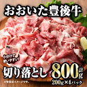 【ふるさと納税】おおいた豊後牛 切り落とし 計800g・200g 4P 国産 牛肉 肉 和牛 ブランド牛 小分け 大分県産 大分県 佐伯市 【FW011】【 株 ミートクレスト】