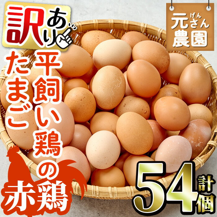 [訳あり・規格外] 平飼い赤鶏のたまご (計54個) 元さん農園 卵 玉子 卵かけご飯 玉子焼き 平飼い 鶏 鶏卵 養鶏場直送 新鮮 大分県 佐伯市 [GE008][ (株)海九]