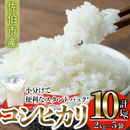 ＜令和5年産＞大分 コシヒカリ 精米済 (計10kg・2kg×5袋) 小分け 個包装 スタンドパック お米マイスター 厳選 お弁当 おにぎり 佐伯市産 大分県 佐伯市 【GG01】【大分県米穀卸 (株)】