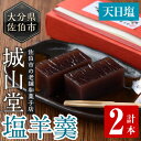 【ふるさと納税】佐伯産なずなの塩使用！天日塩 城山堂の塩羊羹(2本) 菓子 和菓子 ようかん 自然海塩 しお 小豆 あずき 大分県 佐伯市..