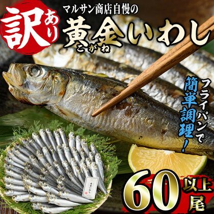 ＜訳あり＞黄金いわし (60尾以上) 黄金 いわし イワシ 丸干し 魚 海鮮 冷凍 おつまみ 小分け【GX002】【(有)マルサン商店】