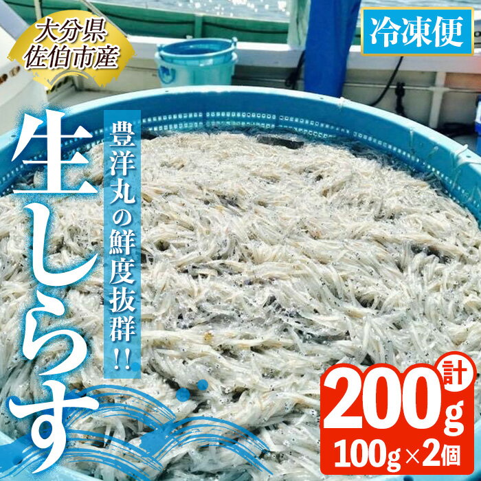 【ふるさと納税】 豊洋丸の鮮度抜群！ 生しらすセット (計200g・100g×2個) 冷凍 しらす しらす丼 丼ぶり 魚 さかな ご飯 ごはん 炒飯 チャーハン パスタ サラダ 国産 大分県 パック 小分け 便利 大分県 佐伯市【HK01】【 OITAしらすhoyomaru豊洋丸】のサムネイル