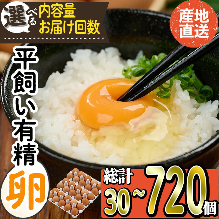 [内容量とお届け回数が選べる]産直・平飼い有精卵 (総計30-720個・1回・3回・6回・12回) 卵 玉子 卵かけご飯 玉子焼き 平飼い 鶏 鶏卵 養鶏場直送 朝採れ 新鮮 定期便 大分県 佐伯市[HM01・HM02・HM03・HM04・HM05・HM08・HM09・HM10][佐伯養鶏場]