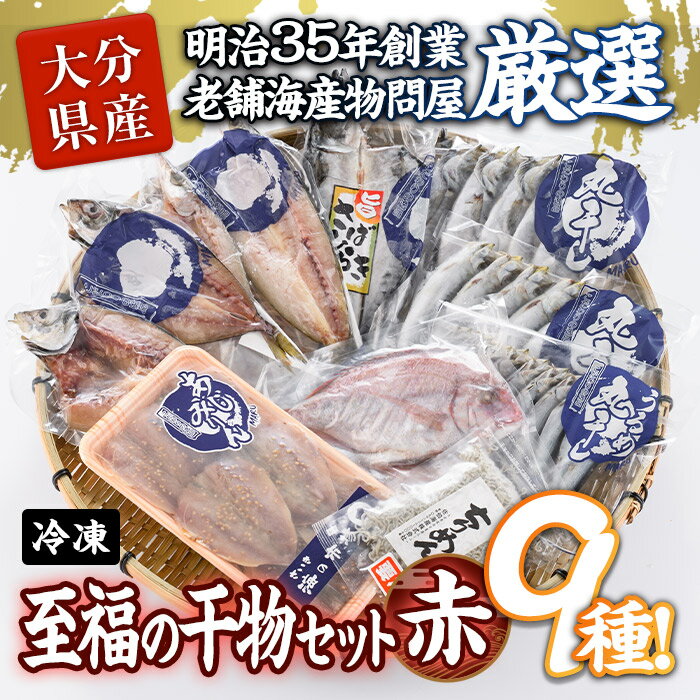 老舗海産物問屋 選りすぐり干物 セット 赤 (9種)あじ 鯵 たい 鯛 みりん ちりめん さば 鯖 海鮮 魚 いわし セット 詰合せ 【BQ69】【佐伯海産(株)】