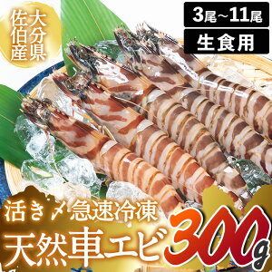 【ふるさと納税】 天然 活き車エビ 生食用 (計300g) エビ 海老 車海老 冷凍 刺身 さしみ 天ぷら 塩焼 バーベキュー 国産 大分県産 大分県 佐伯市 やまろ渡邉【DL18】【鶴見食賓館】