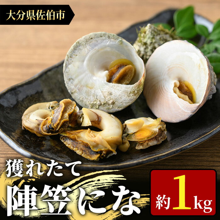 10位! 口コミ数「2件」評価「3」＜お試し用＞陣笠にな (約1kg) 魚介 貝 にな ニナ 酒蒸し 網焼き バター焼き バーベキュー 獲れたて 冷蔵 海の直売所 大分県 佐伯･･･ 