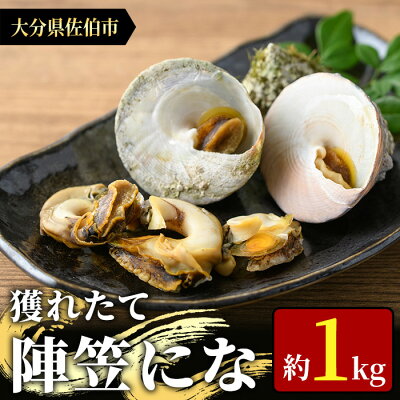 楽天ふるさと納税　【ふるさと納税】＜お試し用＞陣笠にな (約1kg) 魚介 貝 にな ニナ 酒蒸し 網焼き バター焼き バーベキュー 獲れたて 冷蔵 海の直売所 大分県 佐伯市【AS125】【海べ (株)】