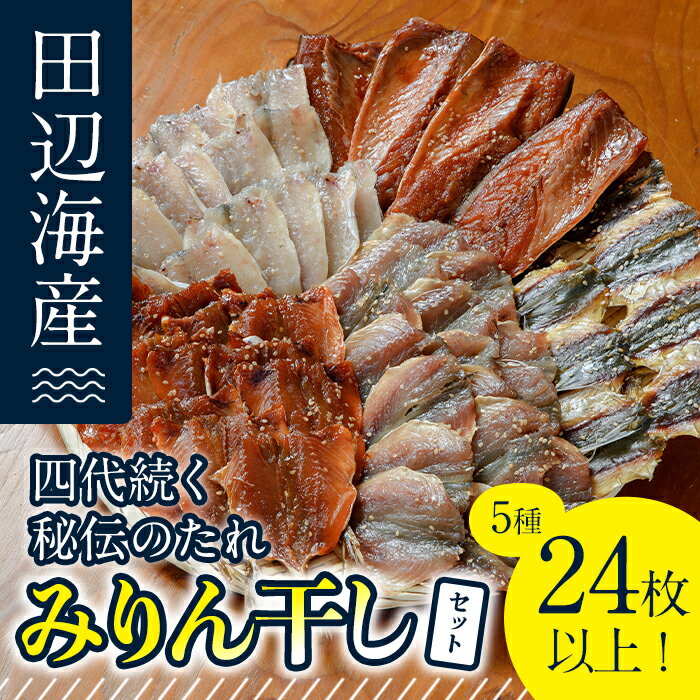 【ふるさと納税】四代続く秘伝のたれ みりん干しセット (合計5種・24枚以上) 干物 ひもの 魚 さかな 鯵 あじ 鯖 さば かます 醤油 食べ比べ おかず 国産 詰め合わせ セット 大分県 佐伯市 【FT01】【田辺海産】